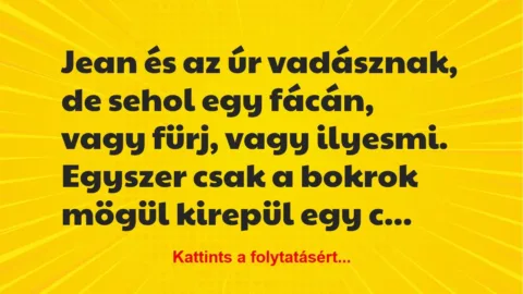 Vicc: Jean és az úr vadásznak, de sehol egy fácán, vagy fürj, vagy ilyesmi…. Vicc: Jean és az úr vadásznak, de sehol egy fácán, vagy fürj, vagy ilyesmi….
