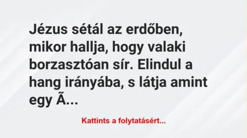 Vicc: Jézus sétál az erdőben, mikor hallja, hogy valaki borzasztóan sír…. Vicc: Jézus sétál az erdőben, mikor hallja, hogy valaki borzasztóan sír….