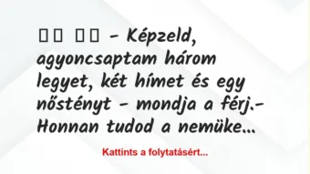 Vicc: 
		  
		  – Képzeld, agyoncsaptam három legyet, két hímet…