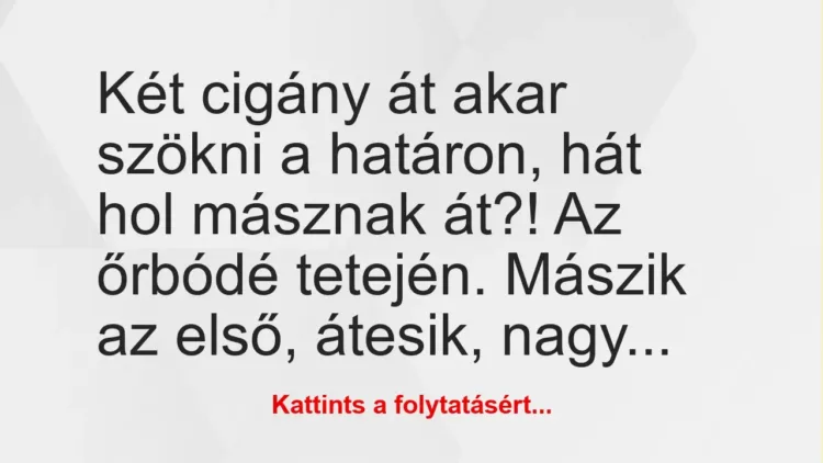 Vicc: Két cigány át akar szökni a határon, hát hol másznak át?! Az őrbódé… Vicc: Két cigány át akar szökni a határon, hát hol másznak át?! Az őrbódé…