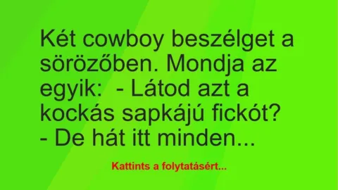 Vicc: Két cowboy beszélget a sörözőben. Mondja az egyik:

– Látod azt a…