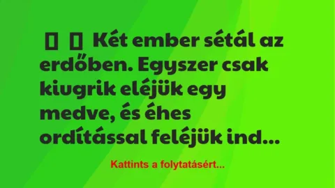 Vicc:
Két ember sétál az erdőben. Egyszer csak kiugrik eléjük egy… Vicc:
Két ember sétál az erdőben. Egyszer csak kiugrik eléjük egy…