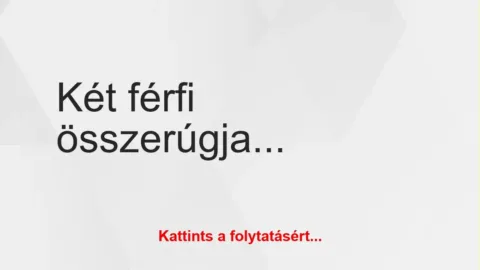Vicc: Két férfi összerúgja a port Vicc: Két férfi összerúgja a port