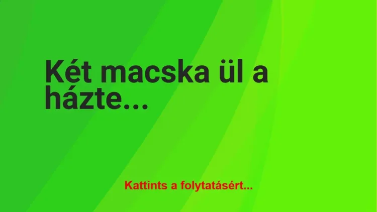 Vicc: Két macska ül a háztetőn Vicc: Két macska ül a háztetőn