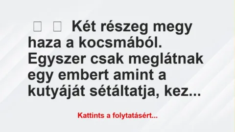 Vicc: 
	    	    Két részeg megy haza a kocsmából. Egyszer csak meglátnak…