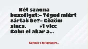 Vicc: 
		  
		  Két szauna beszélget:- Téged miért zártak…