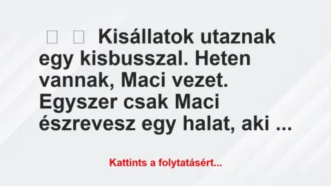 Vicc:
Kisállatok utaznak egy kisbusszal. Heten vannak, Maci… Vicc:
Kisállatok utaznak egy kisbusszal. Heten vannak, Maci…