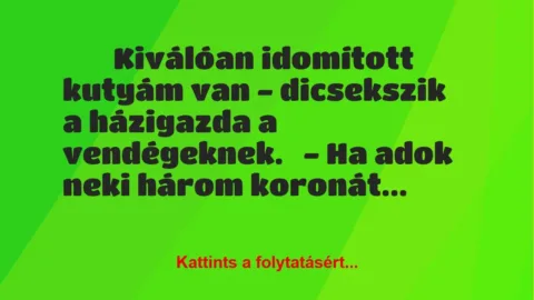 Vicc:
Kiválóan idomított kutyám van – dicsekszik a házigazda a… Vicc:
Kiválóan idomított kutyám van – dicsekszik a házigazda a…