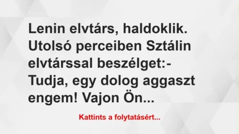 Vicc: Lenin elvtárs, haldoklik. Utolsó perceiben Sztálin elvtárssal… Vicc: Lenin elvtárs, haldoklik. Utolsó perceiben Sztálin elvtárssal…