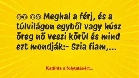 Vicc: 
		  
		  Meghal a férj, és a túlvilágon egyből vagy húsz…