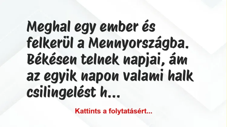 Vicc: Meghal egy ember és felkerül a Mennyországba. Békésen telnek napjai,… Vicc: Meghal egy ember és felkerül a Mennyországba. Békésen telnek napjai,…