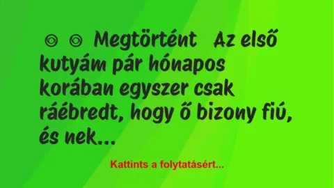 Vicc:
Megtörtént
Az első kutyám pár hónapos korában… Vicc:
Megtörtént
Az első kutyám pár hónapos korában…