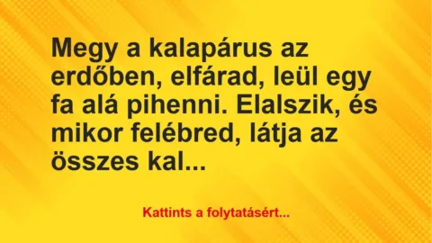 Vicc: Megy a kalapárus az erdőben, elfárad, leül egy fa alá pihenni…. Vicc: Megy a kalapárus az erdőben, elfárad, leül egy fa alá pihenni….