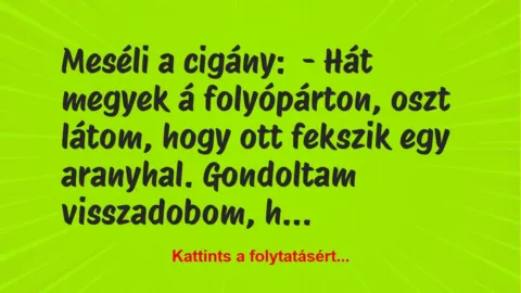 Vicc: Meséli a cigány:
– Hát megyek á folyópárton, oszt látom, hogy ott… Vicc: Meséli a cigány:
– Hát megyek á folyópárton, oszt látom, hogy ott…