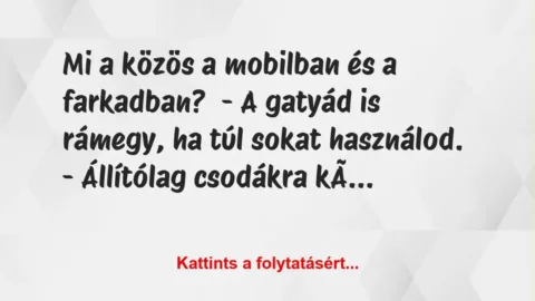 Vicc: Mi a közös a mobilban és a farkadban?

– A gatyád is rámegy, ha…
