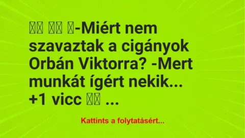 Vicc: 
		  
		  ‎-Miért nem szavaztak a cigányok Orbán Viktorra? …