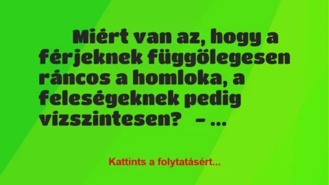 Vicc: 
	    	    Miért van az, hogy a férjeknek függőlegesen ráncos a…