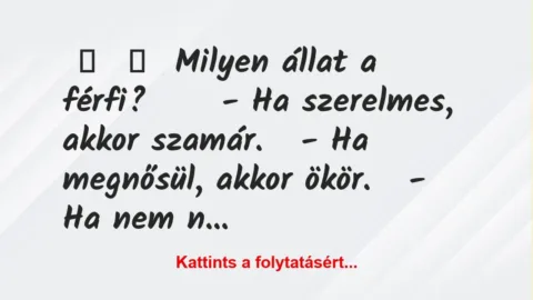 Vicc:
Milyen állat a férfi?
– Ha szerelmes, akkor … Vicc:
Milyen állat a férfi?
– Ha szerelmes, akkor …