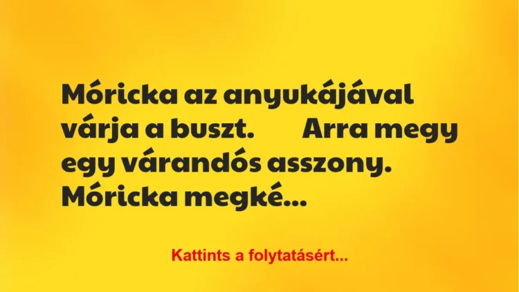 Vicc: Móricka az anyukájával várja a buszt Vicc: Móricka az anyukájával várja a buszt