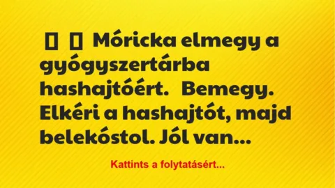 Vicc:
Móricka elmegy a gyógyszertárba hashajtóért.
Bemegy…. Vicc:
Móricka elmegy a gyógyszertárba hashajtóért.
Bemegy….