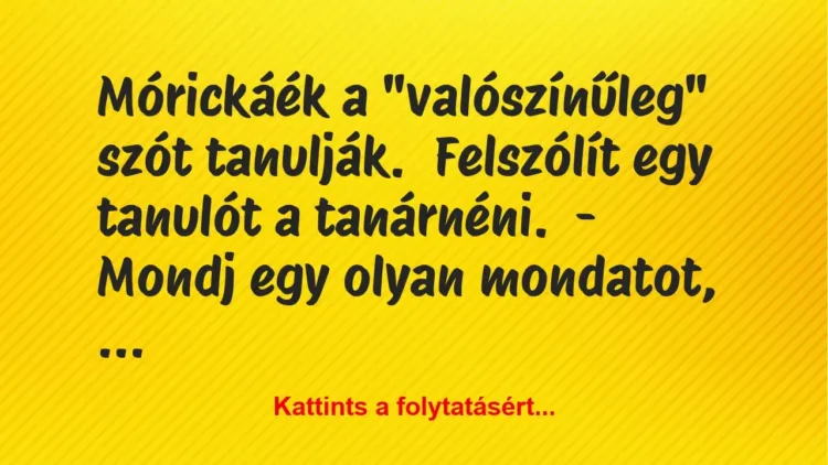 Vicc: Mórickáék a “valószínűleg” szót tanulják.
Felszólít egy tanulót a… Vicc: Mórickáék a “valószínűleg” szót tanulják.
Felszólít egy tanulót a…