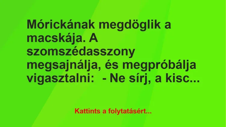 Vicc: Mórickának megdöglik a macskája. A szomszédasszony megsajnálja, és… Vicc: Mórickának megdöglik a macskája. A szomszédasszony megsajnálja, és…