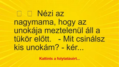 Vicc: 
	    	    Nézi az nagymama, hogy az unokája meztelenül áll a tükör…