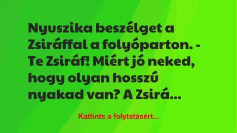Vicc: Nyuszika beszélget a Zsiráffal a folyóparton. 

– Te Zsiráf! Miért…