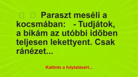 Vicc: 
	    	    Paraszt meséli a kocsmában:


– Tudjátok, a bikám az…