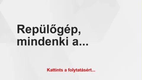 Vicc: Repülőgép, mindenki alszik, sötét van Vicc: Repülőgép, mindenki alszik, sötét van