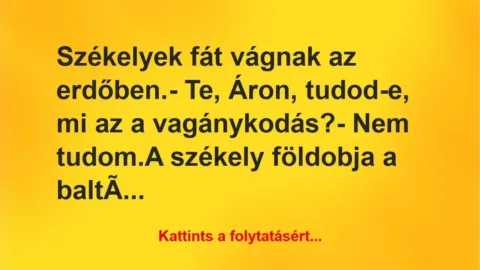 Vicc: Székelyek fát vágnak az erdőben.

– Te, Áron, tudod-e, mi az a…