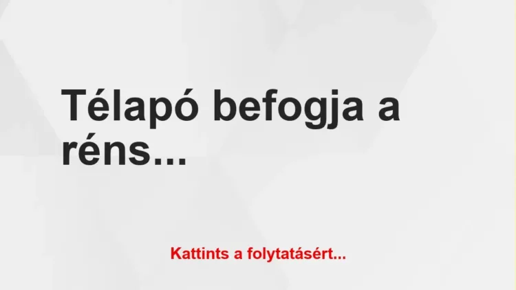Vicc: Télapó befogja a rénszarvasokat a szánkó elé Vicc: Télapó befogja a rénszarvasokat a szánkó elé