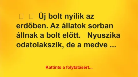 Vicc:
Új bolt nyílik az erdőben. Az állatok sorban állnak a bolt … Vicc:
Új bolt nyílik az erdőben. Az állatok sorban állnak a bolt …