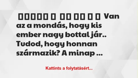 Vicc: Van az a mondás, hogy kis ember Vicc: Van az a mondás, hogy kis ember