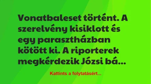 Vicc: Vonatbaleset történt. A szerelvény kisiklott és egy parasztházban…