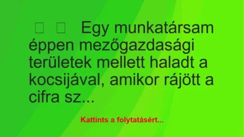 Vicces történet:
Egy munkatársam éppen mezőgazdasági… Vicces történet:
Egy munkatársam éppen mezőgazdasági…