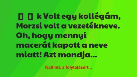 Vicces történet: 
	    	    k


Volt egy kollégám, Morzsi volt a…