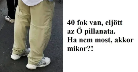 10+ fénykép ami tökéletesen bemutatja az igazi férfiak mindennapi...... 10+ fénykép, amely tökéletesen illusztrálja a férfiak hétköznapi kihívásait