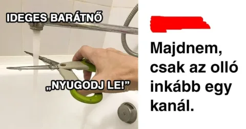 15 gúnyos megjegyzés olyan emberektől, akiknek a második anyanyelvük a...... 15 metsző észrevétel az online térben