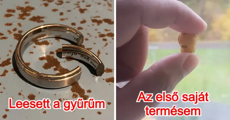 17 ember, akik szerencséje nyaralásra ment 17 ember, akik szerencséje nyaralásra ment