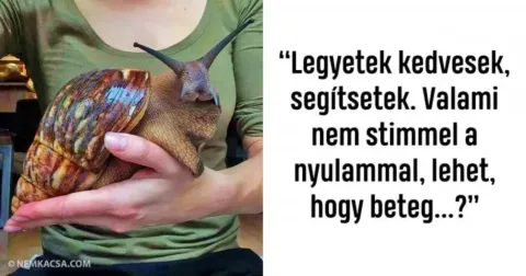 Ennek a 20 embernek a humorérzéke szinte felér egy szíven Ennek a 20 embernek a humorérzéke szinte felér egy szíven döféssel…