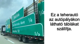 15 szerencsés ördög, akinek épp a megfelelő időben volt a 15 szerencsés ördög, akinek épp a megfelelő időben volt a kéznél a fényképezőgépe