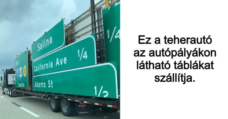 15 szerencsés ördög, akinek épp a megfelelő időben volt a 15 szerencsés ördög, akinek épp a megfelelő időben volt a kéznél a fényképezőgépe