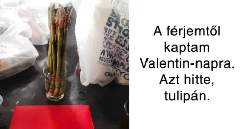 Vicc: 16 ember, akinek van még mit tanulnia a romantikáról Vicc: 16 ember, akinek van még mit tanulnia a romantikáról