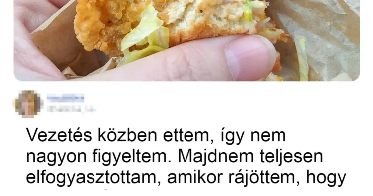 20+ alkalom, mikor az emberek napjait elvarázsolta egy gonosz varázsló 20+ eset, amikor a balszerencse ördögi kacajjal borította fel az emberek napját