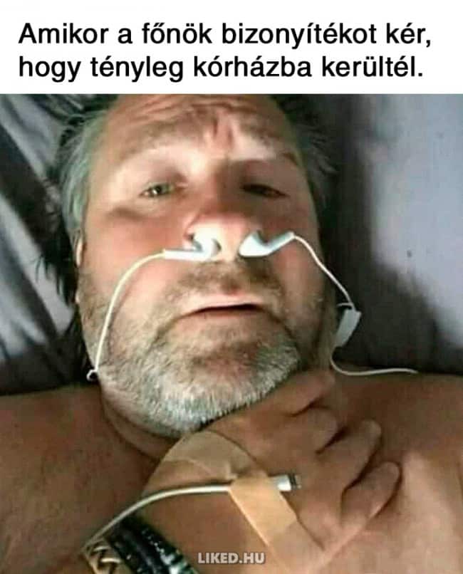 2.mém