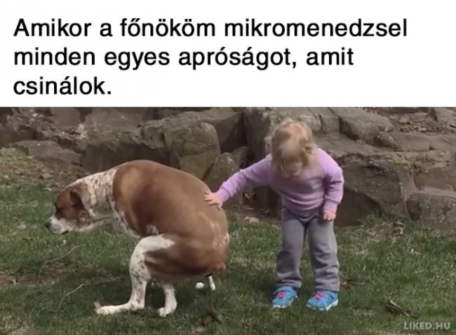 7.mém