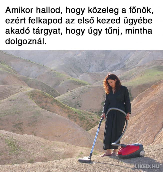 8.mém