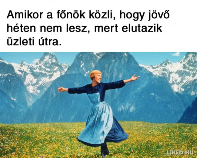 15.mém