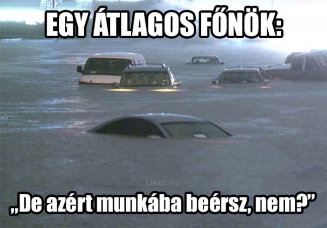 18.mém
